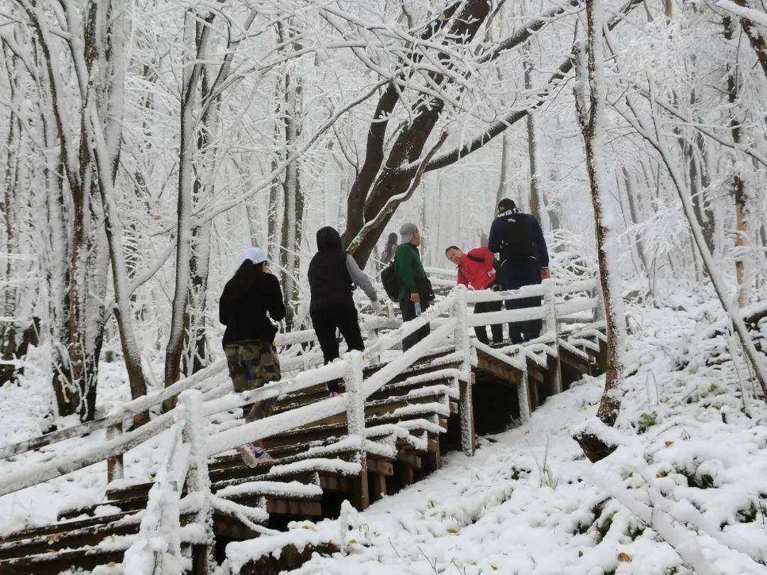 67雪04雪04雪04雪04雪04…第一场雪来了!