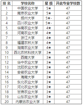 英语系排名_聊城大学英语系朱国栋