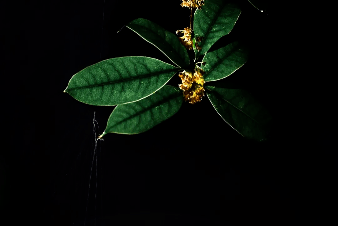 无人机|这些花式热搜你一定想不到！各高校为了C位出道“太拼了”