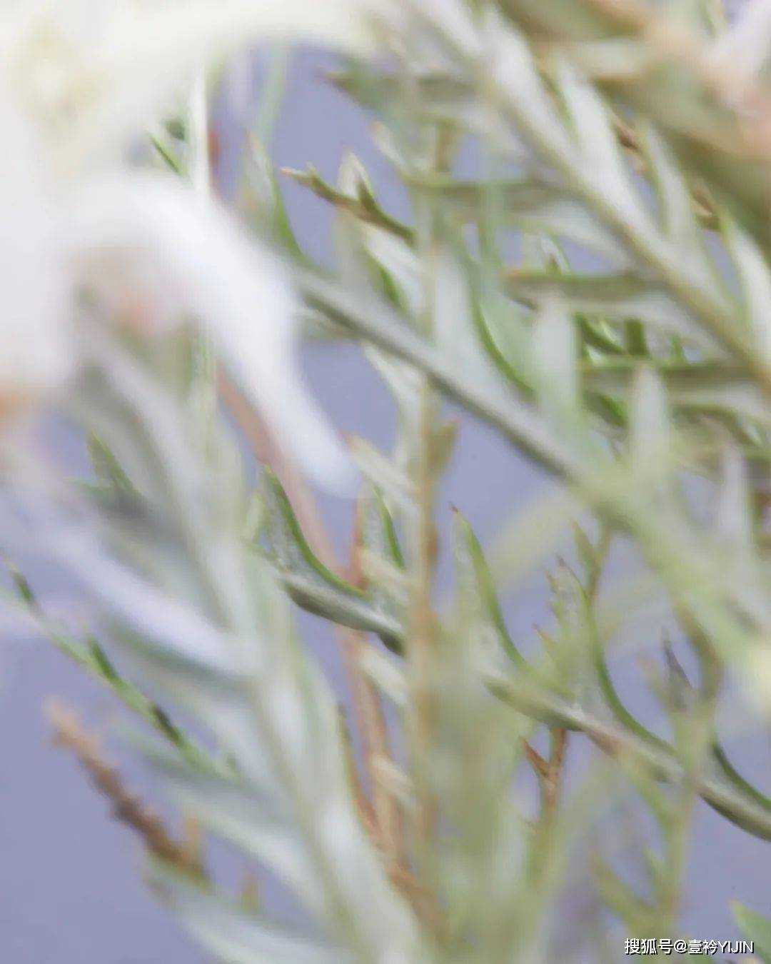 系列|秋天+日常生活碎片+小戏剧=日本设计师品牌MURRAL