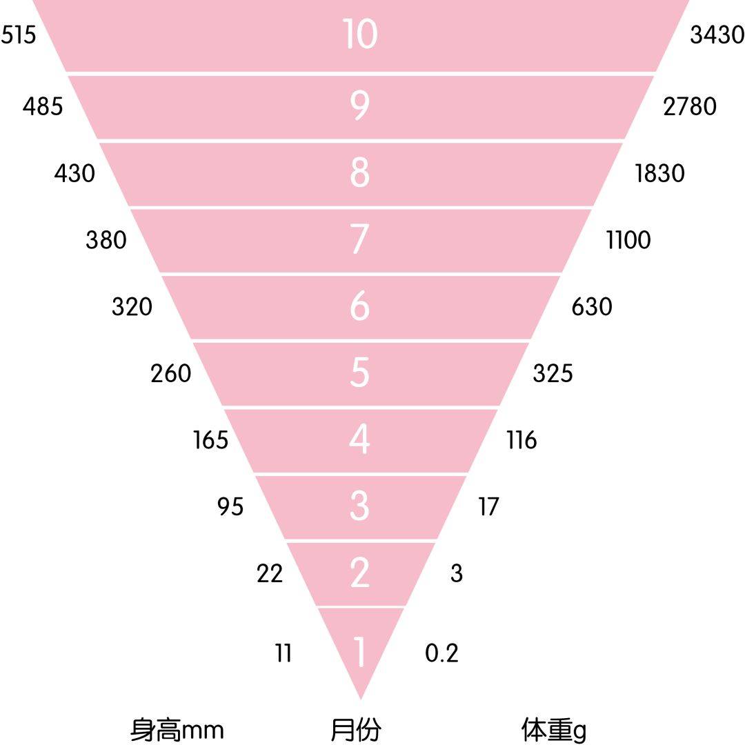 体重|多种方法教你超快顺产！