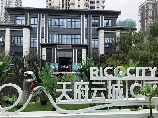 视高的人口_人口普查(2)