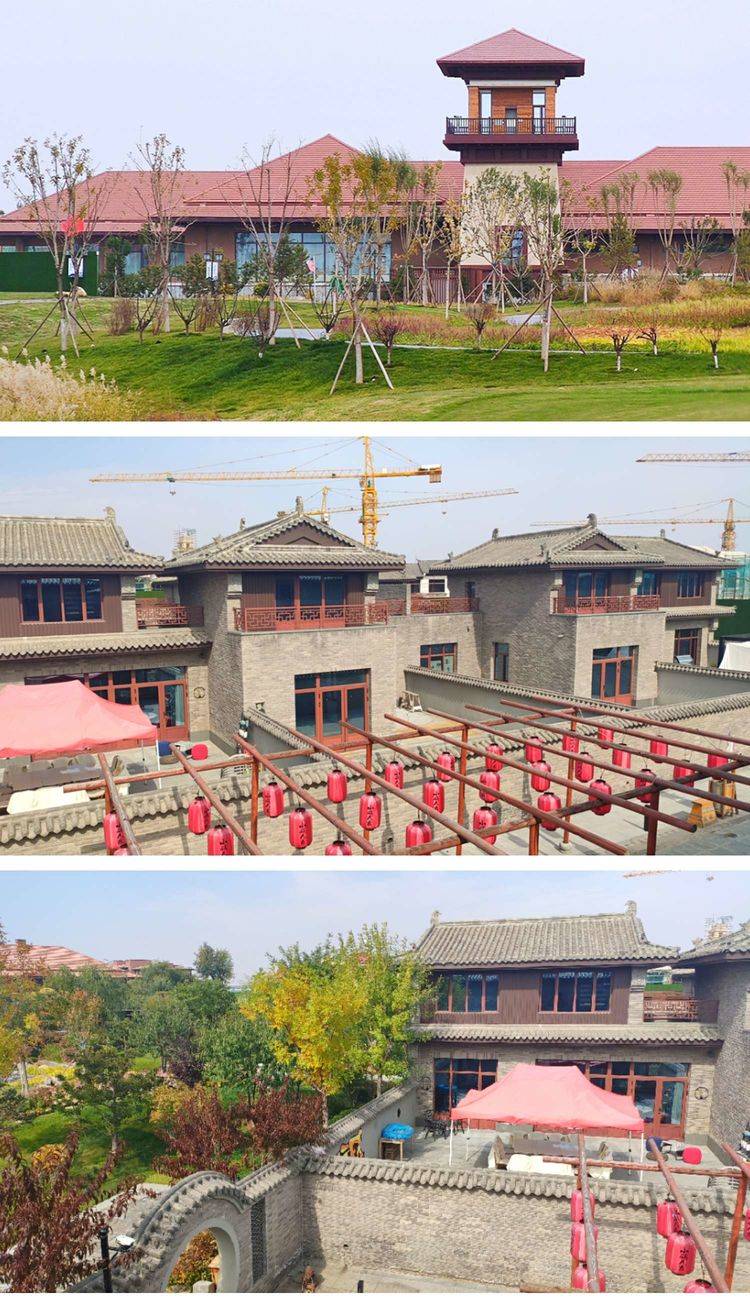 金婚大典在大同市世家康养小镇举行