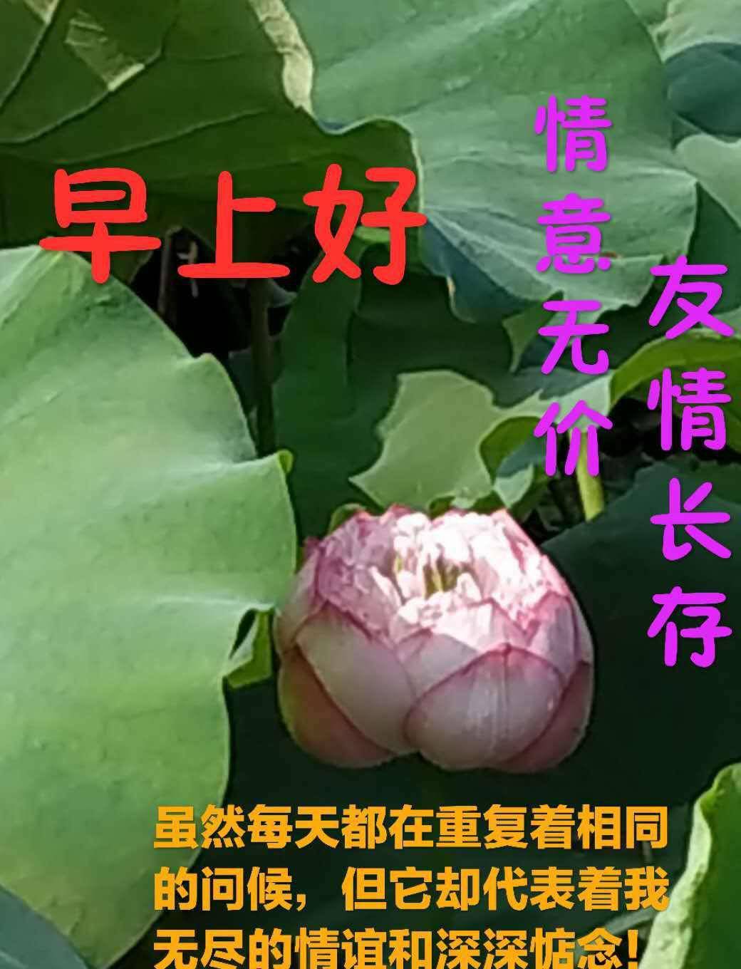 如何让人生变得绚烂多彩 347334c166bc4ecab129ce7d7ba15240.jpeg