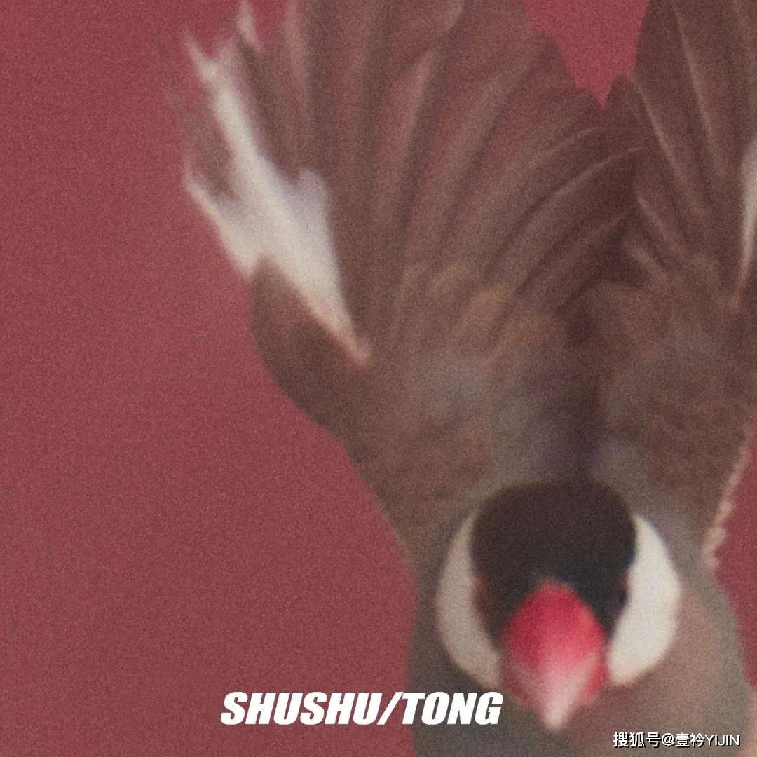 速报|秀场速报 | SHUSHU/TONG女孩请起立，最新系列她来了！