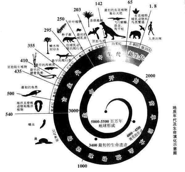 你知道我们的地球多少岁了么?