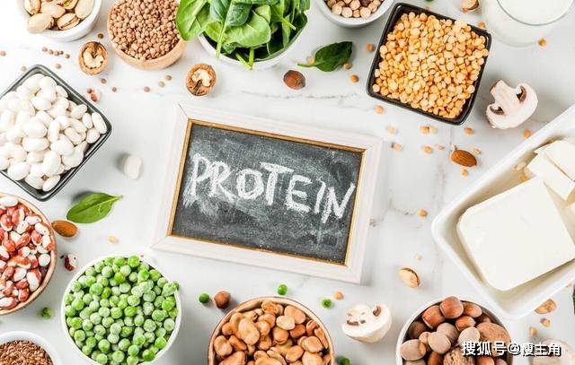 减肥为什么吃蛋白质