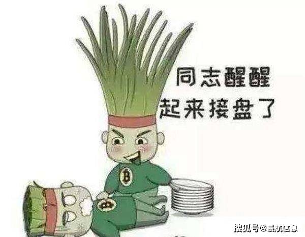 什么是币圈里的韭菜你究竟是不是韭菜呢