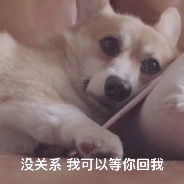 3d40669a4b744ec2a72b0f49971eab1b.jpeg