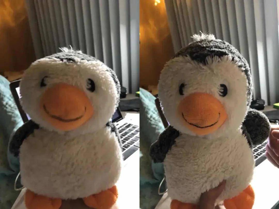 天花板|她颅顶低成洼地、还能美成内娱颜值天花板,高颅顶审美PUA何时结束?