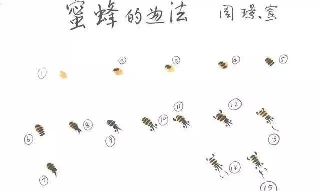 国画写意教程牵牛花和蜜蜂的画法