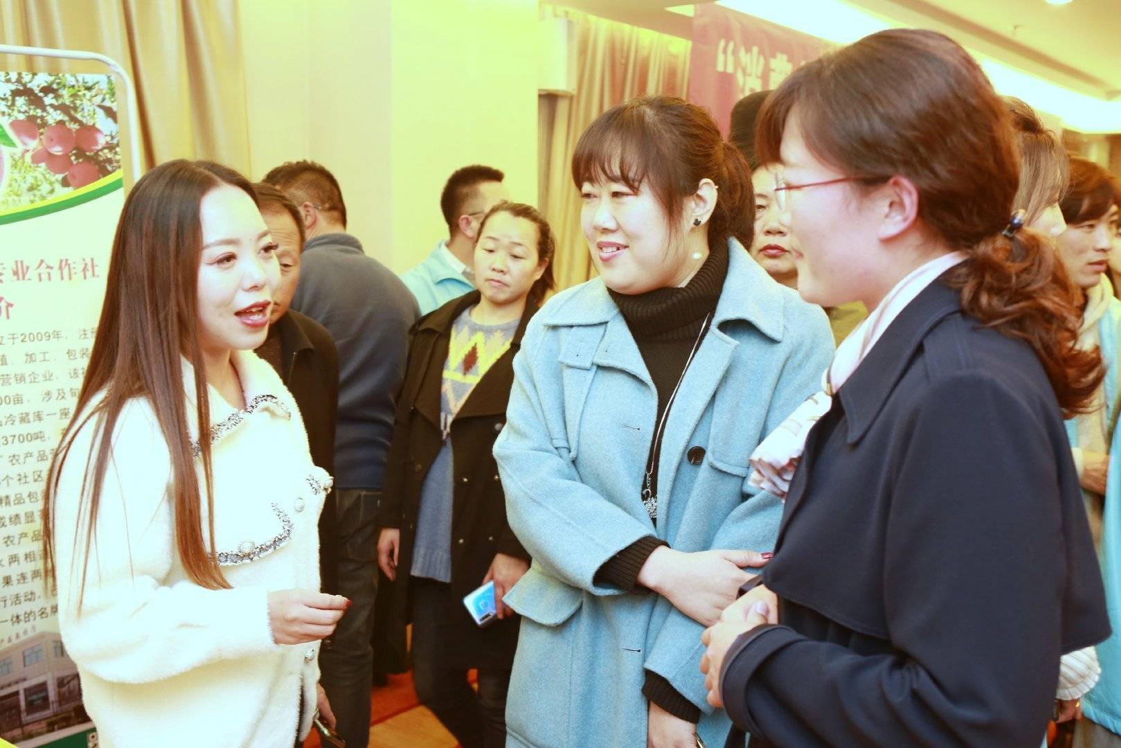 陕西农业|走进中国苹果20强县咸阳旬邑 消费扶贫e起来看马栏红苹果丰景图