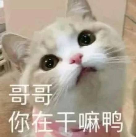 de204a91276f47d9b7dfed1bc3cd038a.jpeg
