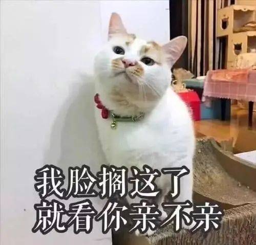 01871aaafa934399bb239e1012d92137.jpeg