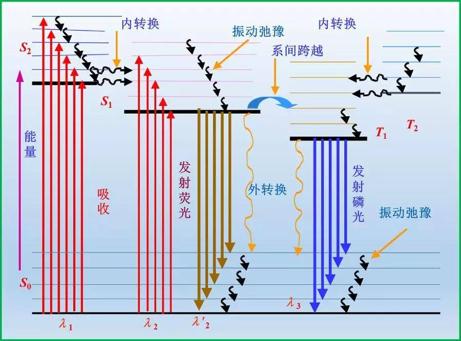 荧光和磷光发光原理示意图(图片来源:参考文献[1])