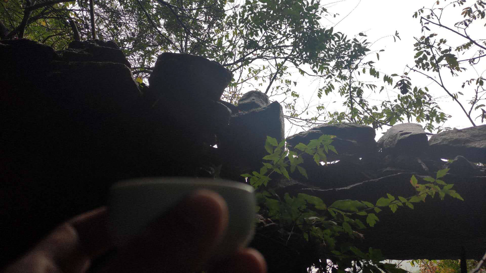 5602e9937af64a7cb4d6ef39ccb36ed1.jpeg