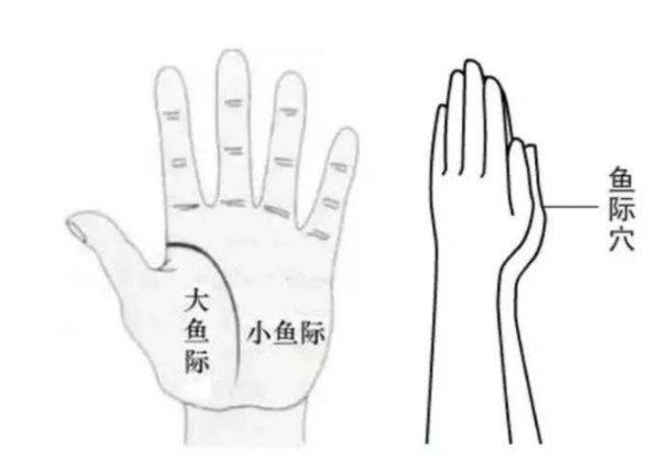 7849550bc5da425ba4972431747a612a.jpeg