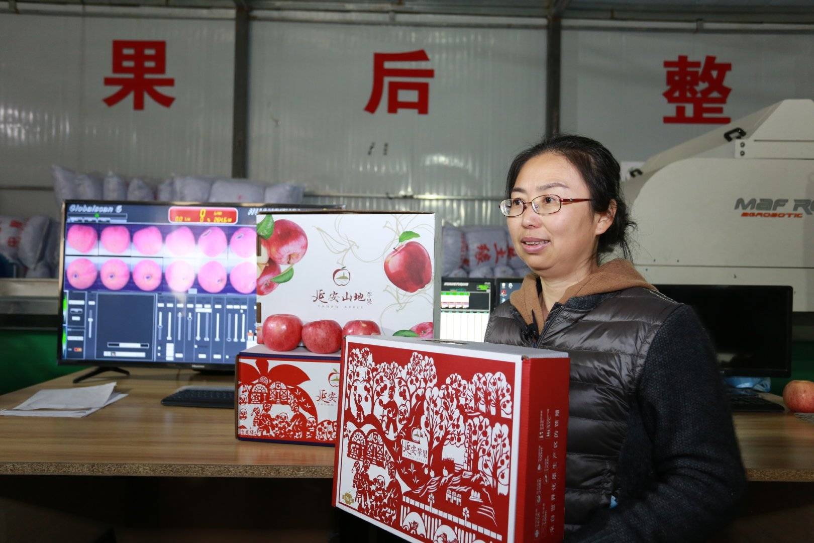 陕西果业|“延安有我一棵苹果树”当个快乐的都市农夫，你愿意认领吗？