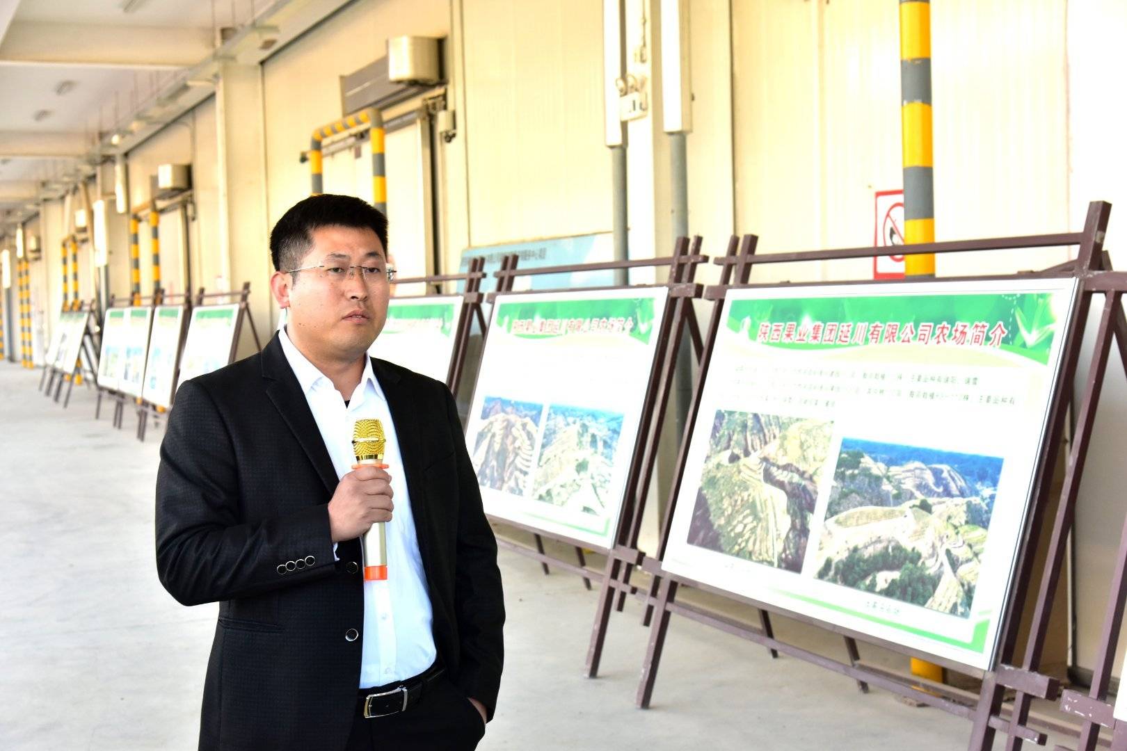 品牌|消费扶贫e起来丨主播带你进果园、看产业、选品牌 为延川苹果代言