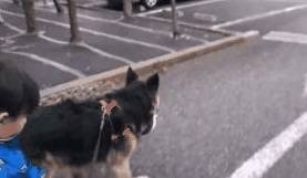 994f1e68bf104e5d8f22c52ceb9f34c2.jpeg
