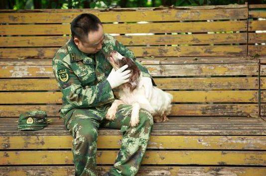 至今为止，它是汶川地震唯一仅存的搜救英雄犬