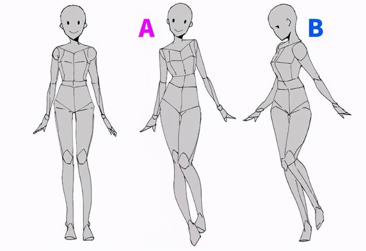 初学者不会画人体结构?不可错过的人体绘制技巧!