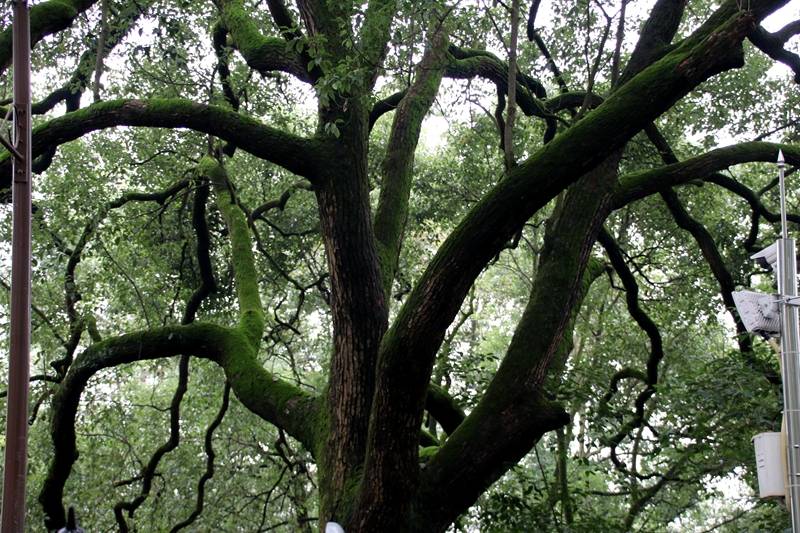 黑石山|一个具有独特的自然景观的风景区——黑石山