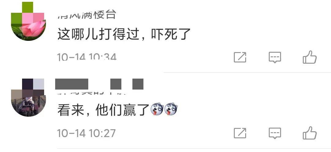 我们认输！印度率先推出牛粪芯片