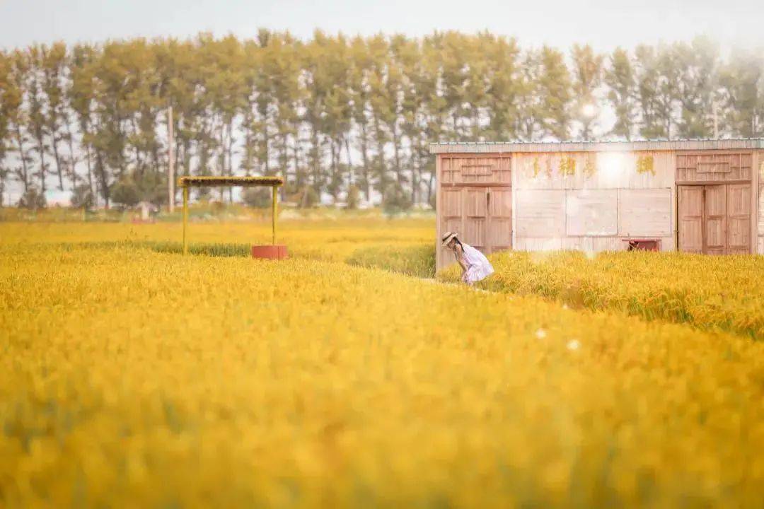 画真火车头 6b06d018c7064c6f9e24202acb1c0110.jpeg