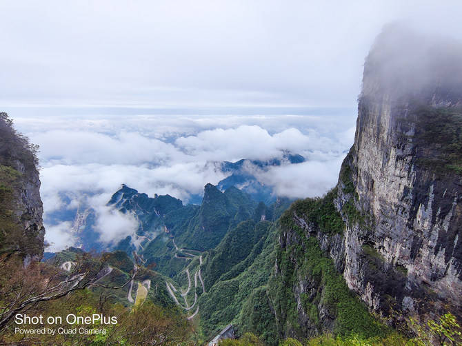 真香|一加 8T详细评测：3399元的真香屏幕超旗舰