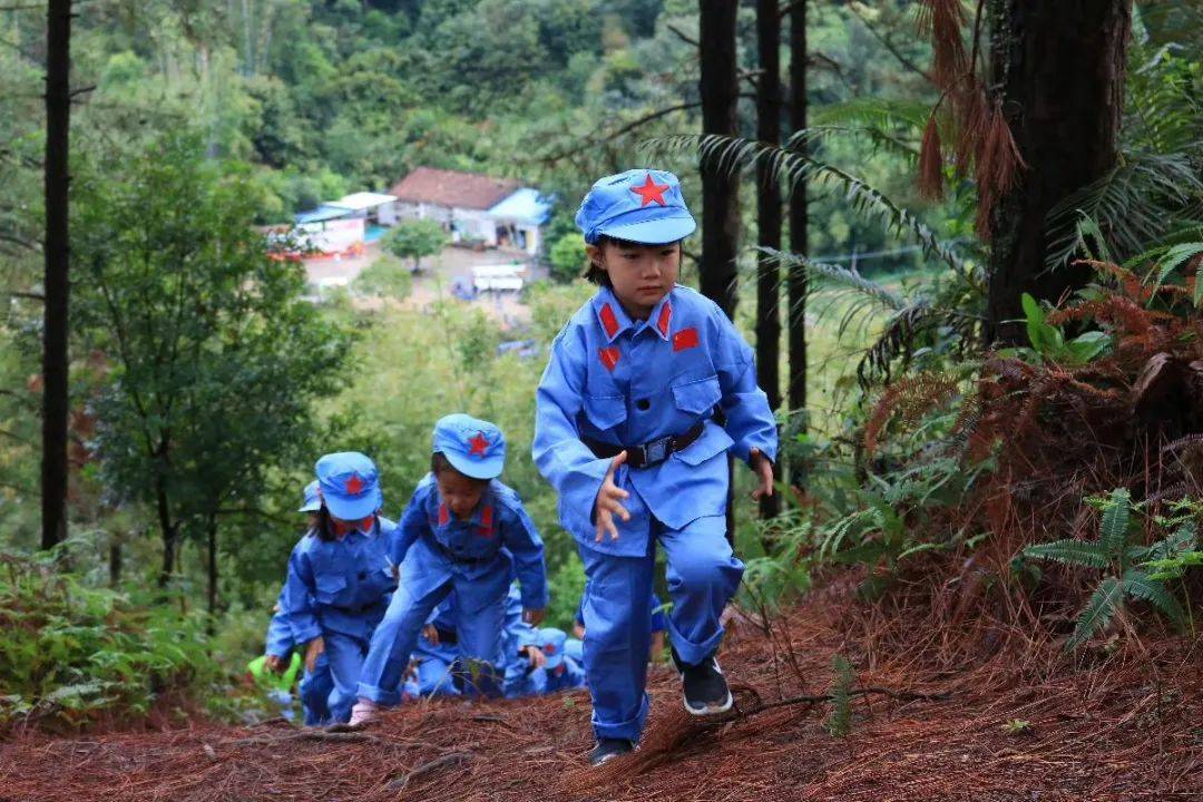 小红军走长征秋收割禾挖蕃薯摘杨桃真人打地鼠喂兔