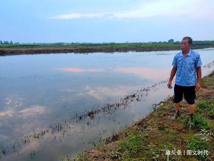 救命|再遭洪水冲垮“救命地”，爸爸：救救我儿子癌童逆行疫区屡被拒