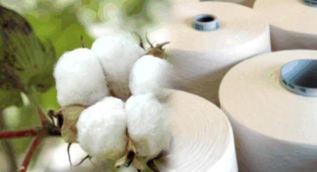 秘鲁|秘鲁时尚与装饰展，领略拉美风情