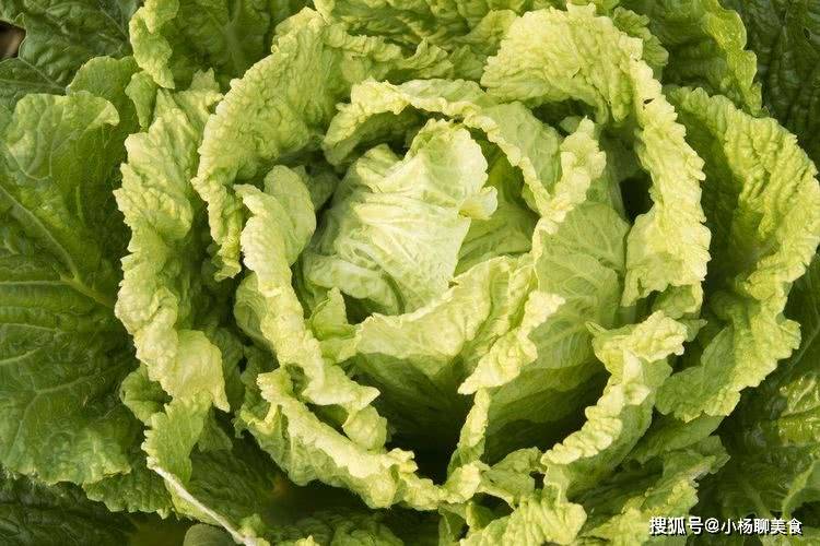 不吃菜是什么病因 5da7e090887d4b90ab00791e5b0697ae.jpeg