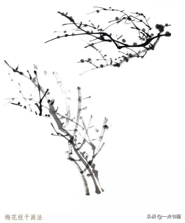 国画入门教程写意梅花的画法