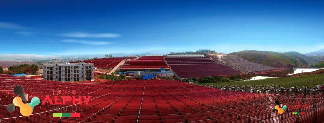 湖南虾青素养生保健有限公司因涉嫌传销被罚没1