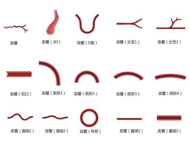 此图包括了血管横切面的8种不同示意图,分别为常规,带红细胞的小动脉