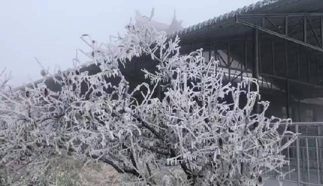 四川峨眉山迎入秋来第一场雪