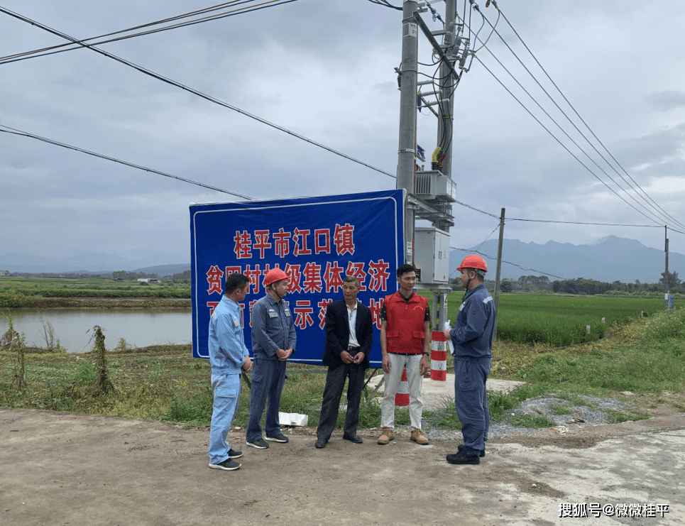 桂平市文化广电体育和旅游局局长潘远庆一行到紫荆镇小江村,大坪村