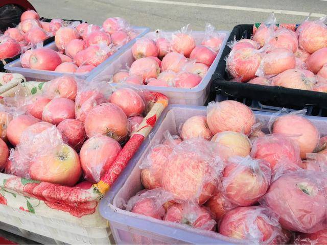 红富士|陕西乾县红富士苹果：产销两旺劲头足，红红火火又一年