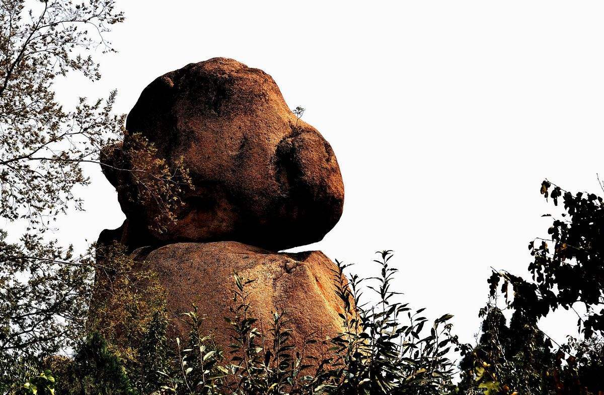 驻马店2019经济总量_驻马店皇家驿站图片