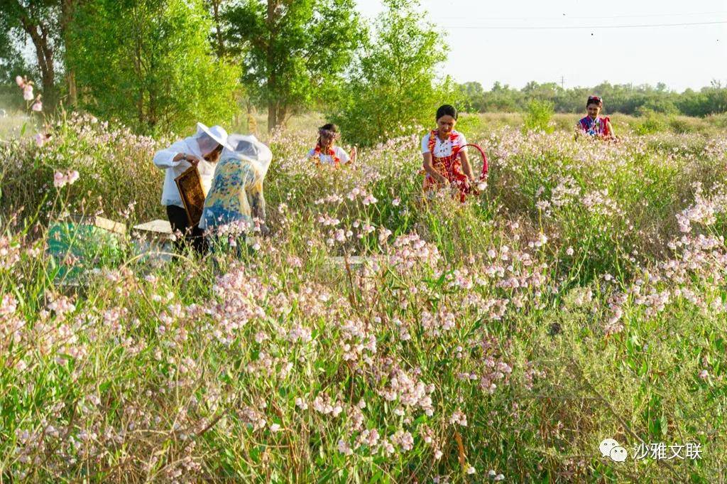 活动|沙雅十六万元摄影大奖等您拿!