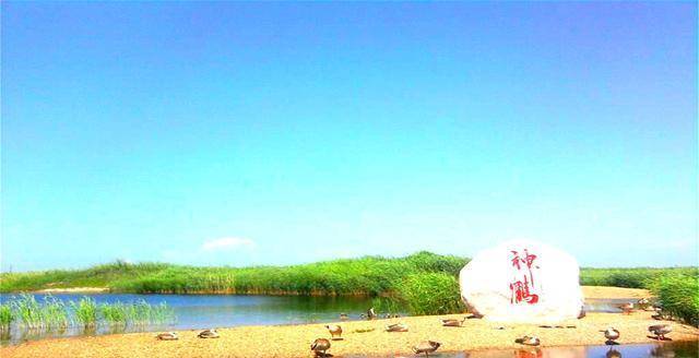 齐齐哈尔市曾经gdp_齐齐哈尔市地图(2)