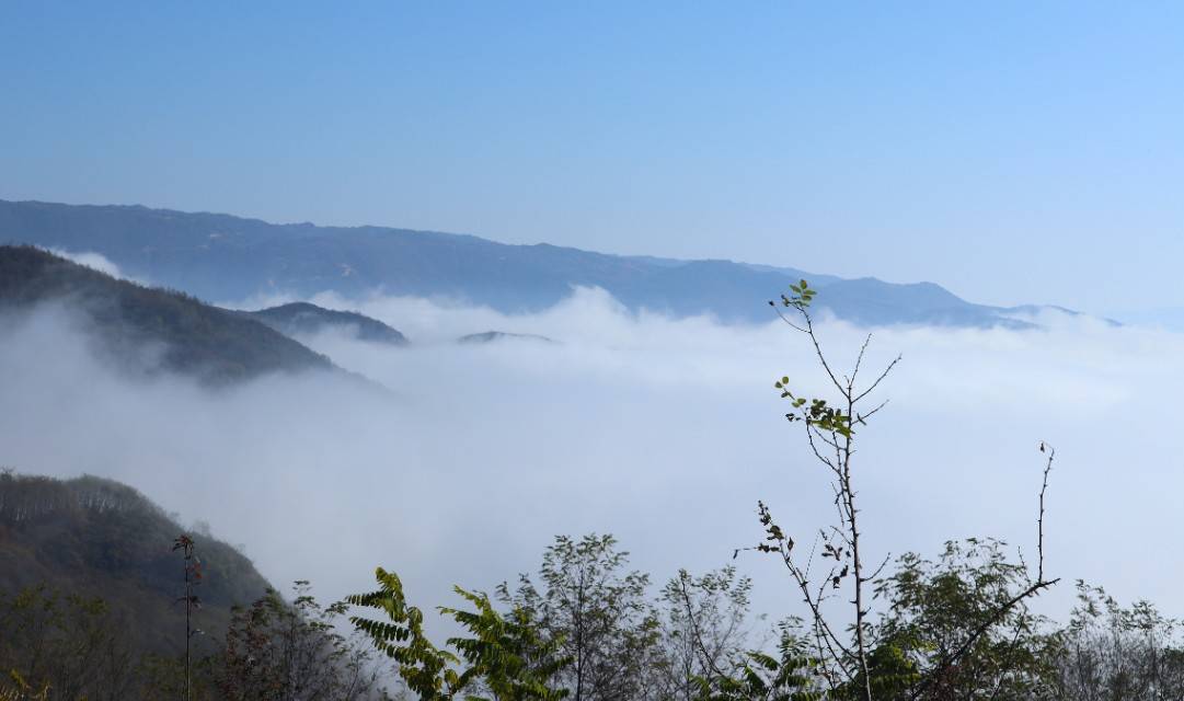 神木花石崖人口碑_神木市花石崖镇地图(2)