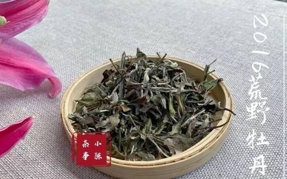 福鼎|喝茶是喝品质，还是盲从大师？无论白茶、岩茶、普洱茶、红茶