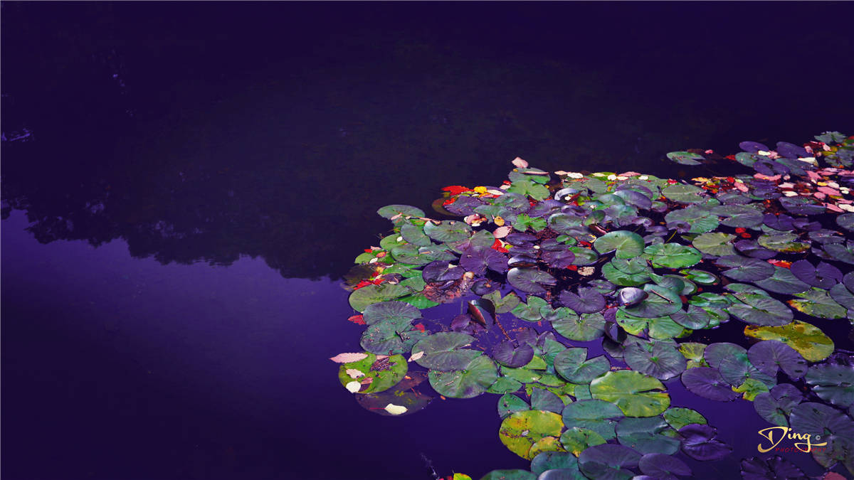 张良|汉朝张良为何隐居洛阳这个地方？白云山下真的有仙气吗？