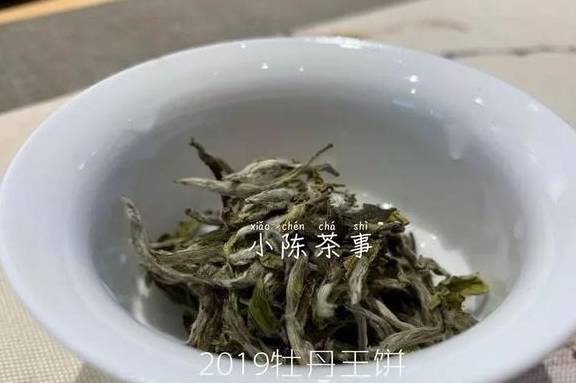 福鼎|喝茶是喝品质，还是盲从大师？无论白茶、岩茶、普洱茶、红茶