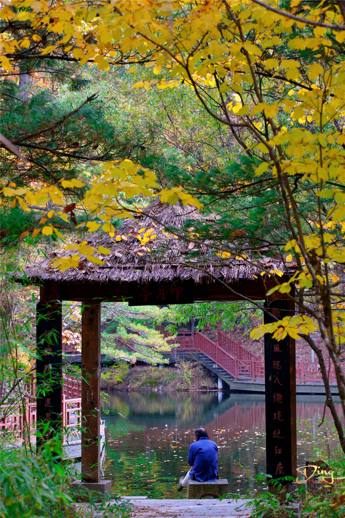 张良|汉朝张良为何隐居洛阳这个地方？白云山下真的有仙气吗？