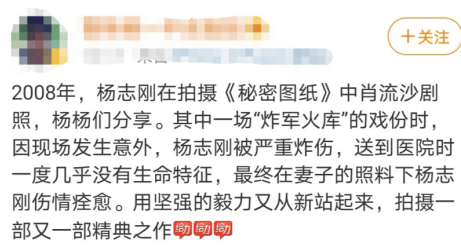 关系户|原创杨志刚被质疑演技差，多次靠哥哥演男一，是个不折不扣的关系户？