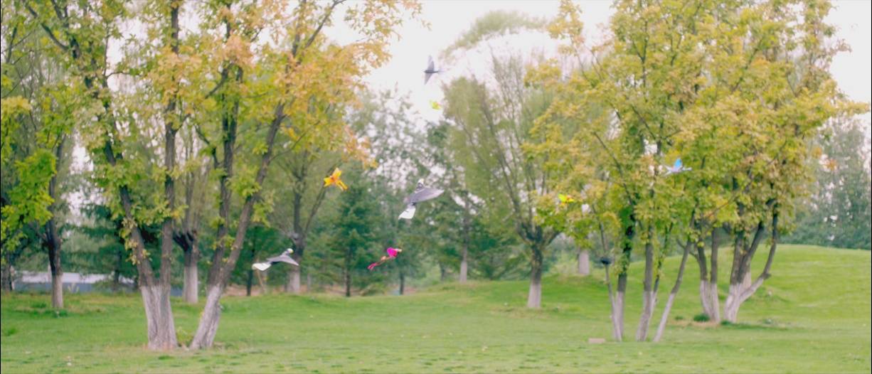 Bird|汉王仿生扑翼鸟Go Go Bird1000亮相上海玩博会，与萌娃共享仿生AI盛宴！